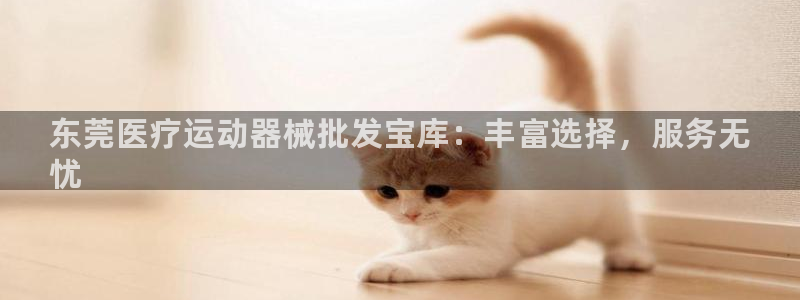 Z6尊龙凯时官方:东莞医疗运动器械批发宝库:丰富选择,服务无