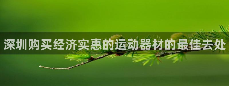 d88尊龙z6:深圳购买经济实惠的运动器材的最佳去处