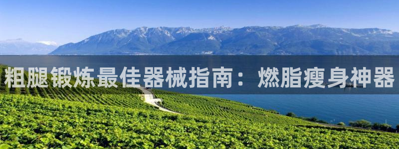 尊龙官方网站是真的吗:粗腿锻炼最佳器械指南:燃脂瘦身神器