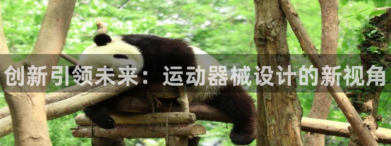 尊龙凯时人生就是博·(中国)官网官:创新引领未来:运动器械设